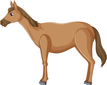 Cavalo